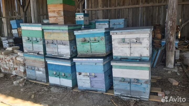 Улей домик для пчёл Дадан,сушь