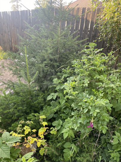 Дом 56 м² на участке 6 сот.