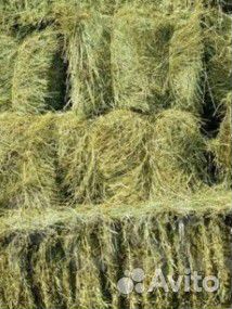 Сено в тюках