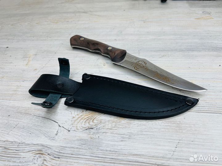 Нож охотничий Кизляр Скорпион