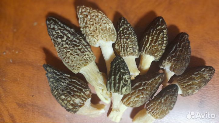 Сморчки и сморчковая шапочка сушёные