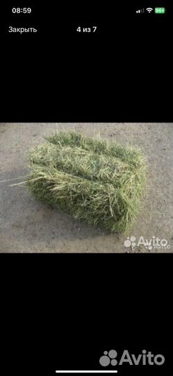 Сено тюки рулоны