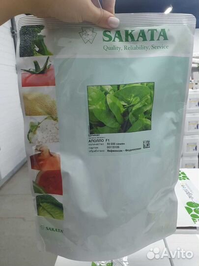 Семена Шпинат Аполло 50000 с Саката