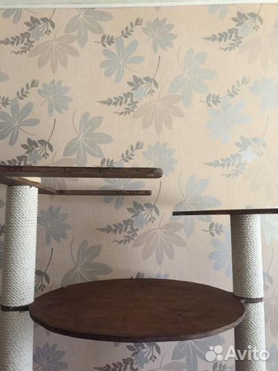 Когтеточка эко в хорошем состоянии