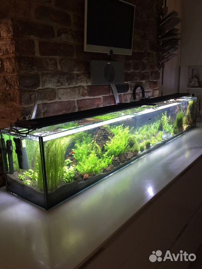 Аквариум