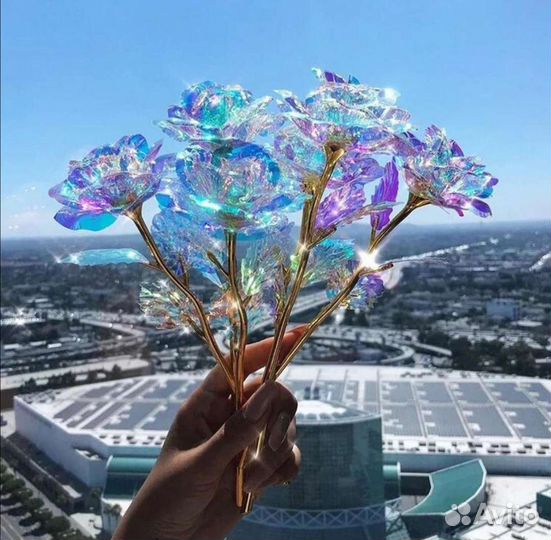 Переливающиеся розы в разный цвет на свету