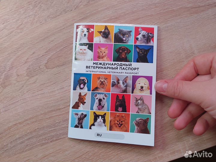 Вет паспорт без первой страницы