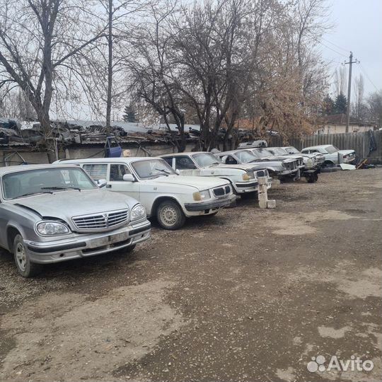 Разбор волги