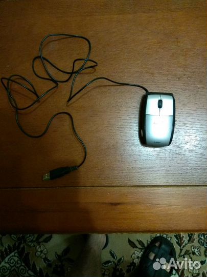 Мышь