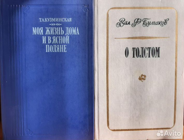 Моя жизнь дома и в Ясной Поляне (2 книги)