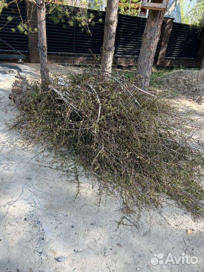 Вывоз мусора, Грузчики, Грузоперевозки, Грузотакси