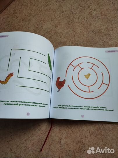 Развиваем мозг ребенка Шамиль Ахмадуллин 2-3 года