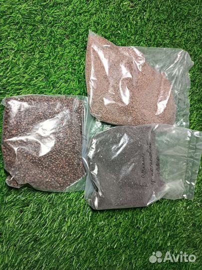 Все для выращивания микрозелени