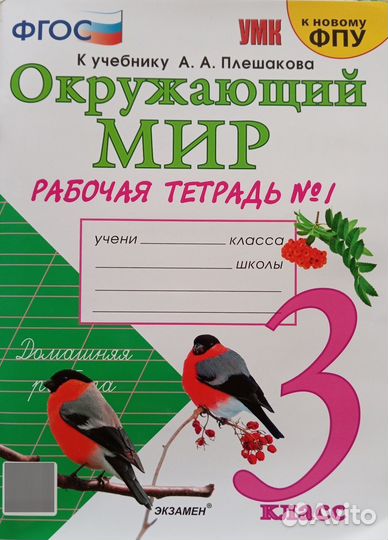 Рабочая тетрадь окружающий мир плешаков 3 класс