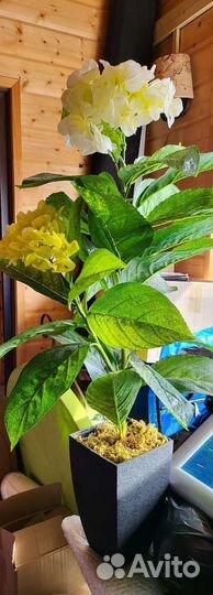 Искусственные цветы в горшках