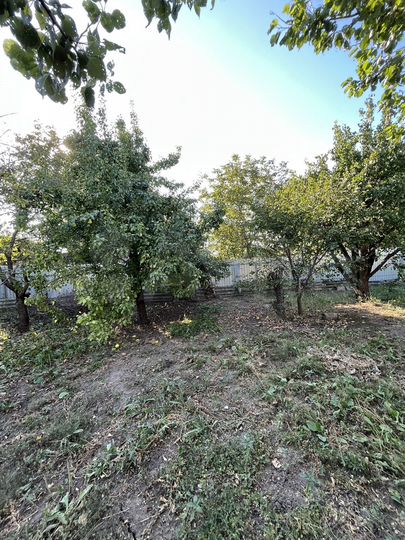 Дом 55,6 м² на участке 9,6 сот.