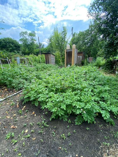 Дача 10 м² на участке 6 сот.