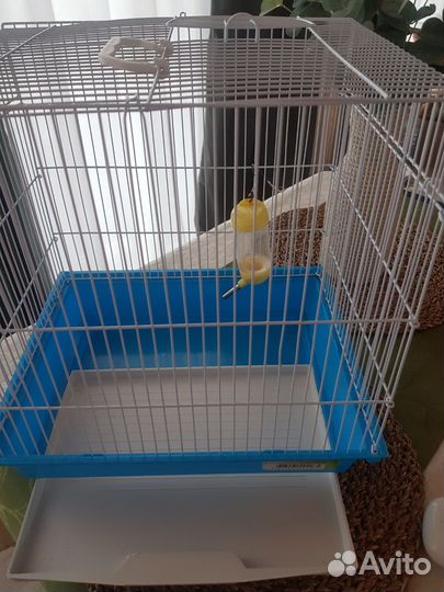 Клетка для грызунов