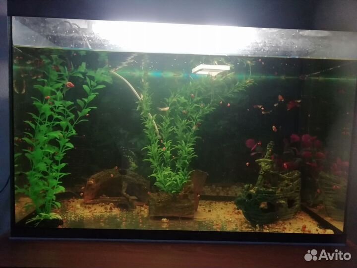 Продам аквариум 80л