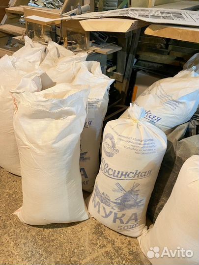 Продам сухую стружку сосновую