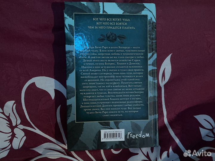 Книга Мэгги Стивотео Все нечестные святые