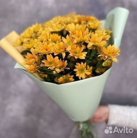 Цветы. Хризантемы с доставкой