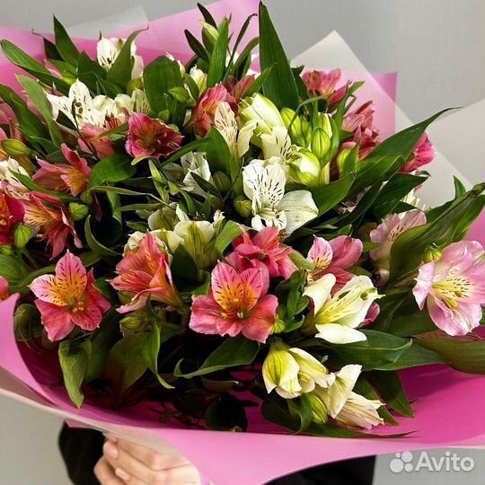 Стойкий букет Альстромерий