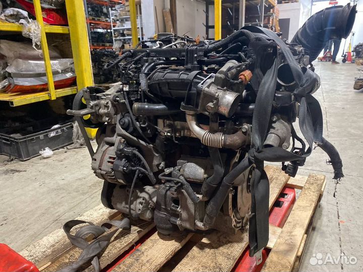 Контрактный двигaтeль D4HA Hyundai KIA 2.0