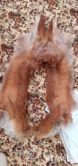 Лисий воротник