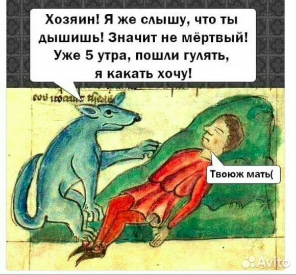 Дрессировка выгул и передержка