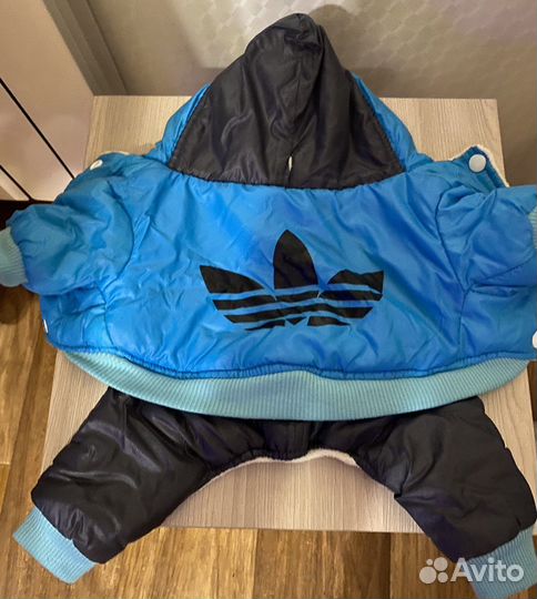 Одежда для собак