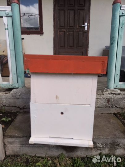 Пчелиные ульи