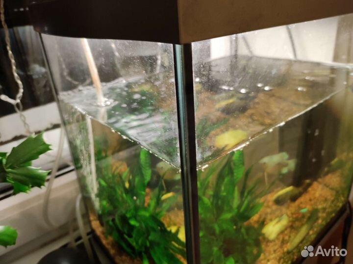 Аквариум Tetra с подсветкой, 30 литров