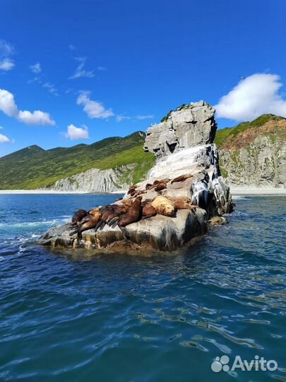 Морские прогулки