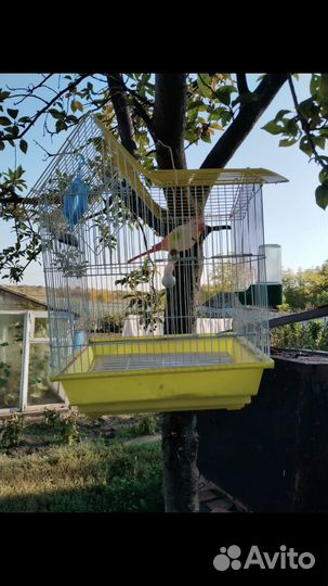 Клетка для попугая