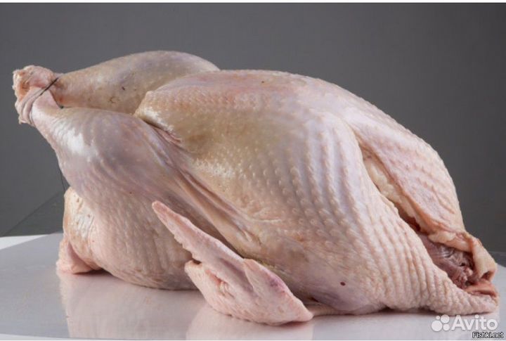 Мясо домашней индейки