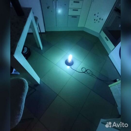 Дезинсекция / дезинфекция / озонация / запахи