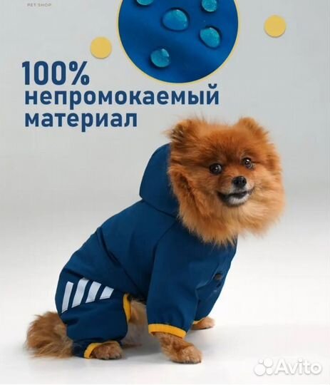 Одежда для собак