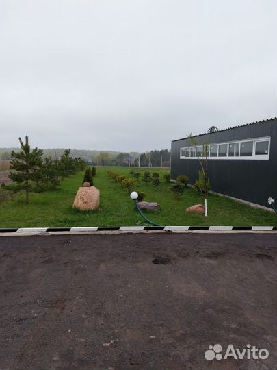 Готовый бизнес фермерское хозяйство