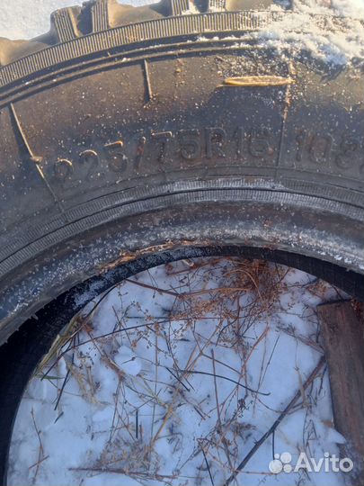 Алтайшина Forward Professional 153 225/75 R16