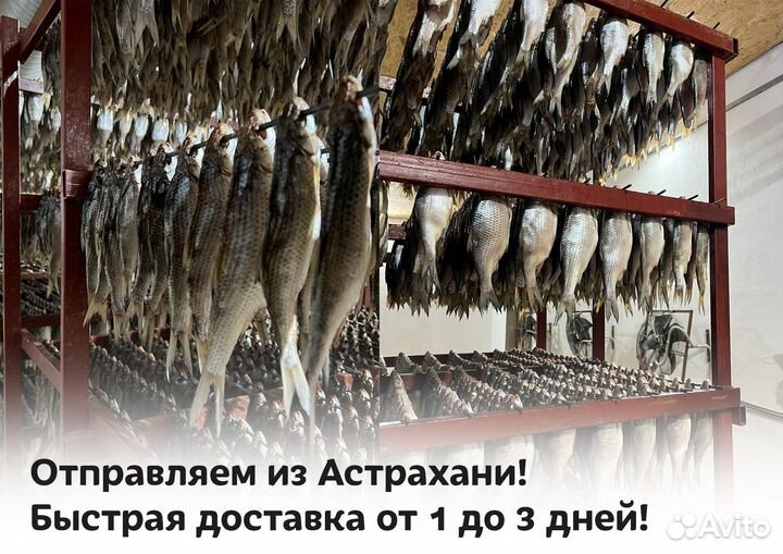 Астраханская вобла