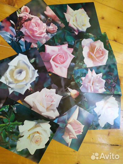 Открытки (СССР) коллекционные