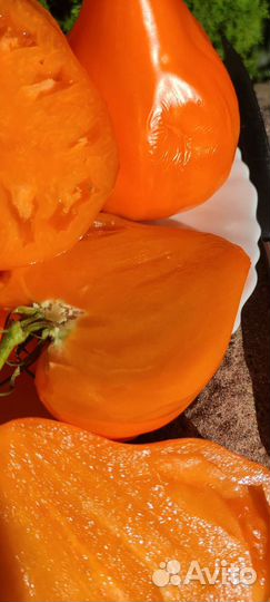 Семена коллекционных сортов томатов