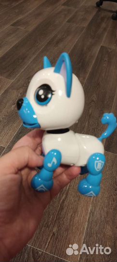 Умный щенок