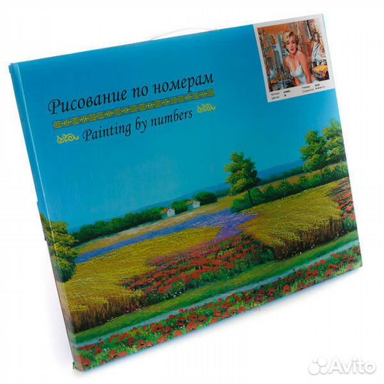 Картина по номерам 40x50 Черный кот с валютой