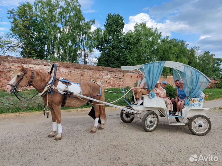 Экипажи для лошади