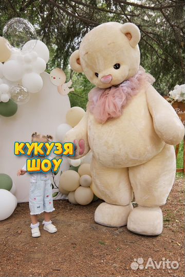 Мишка Шэбби ростовая кукла поздравление