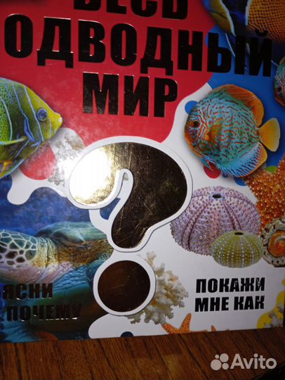 Весь подводный мир