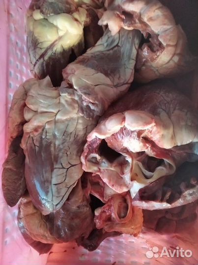 Мясо говядина для животных