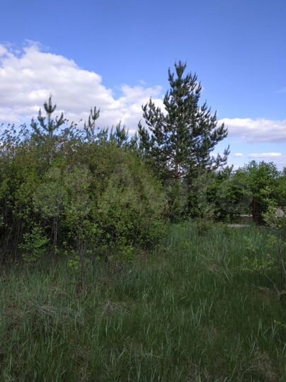 Участок 9 сот. (СНТ, ДНП)